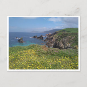 Ferrol, Galicia (Spain) Postcard