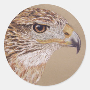 Ferruginous Hawk Classic Round Sticker