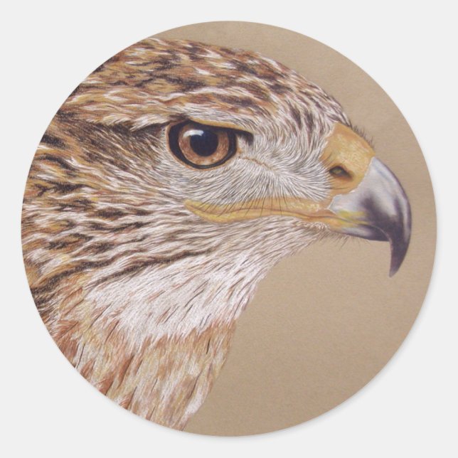 Ferruginous Hawk Classic Round Sticker (Front)