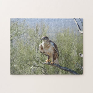 Ferruginous Hawk Jigsaw Puzzle