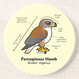 Ferruginous Hawk Statistics Coaster
