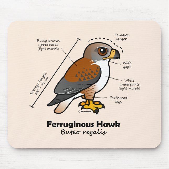 Ferruginous Hawk Statistics Mouse Mat (Front)
