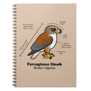 Ferruginous Hawk Statistics Notebook