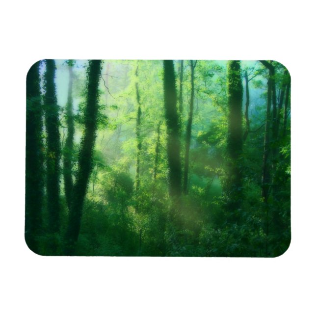 Fertility Flexible Magnet (Horizontal)