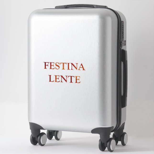 Festina lente (Suitcase)