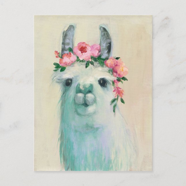 Festival Llama Postcard (Front)