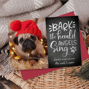 Festive Barks   Dog Pet Photo Foil Holiday Card
