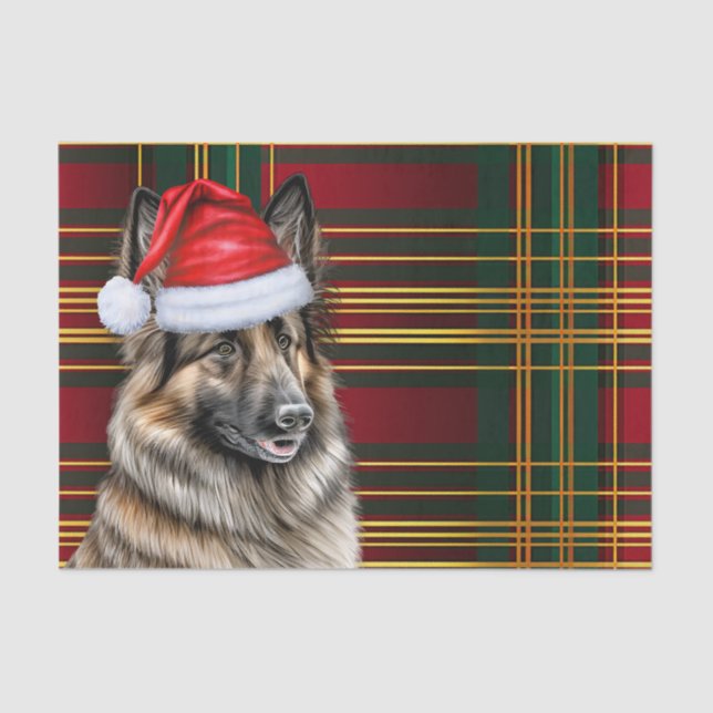 Festive Belgian Tervuren Dog Plaid Christmas Tissue Paper (Front)
