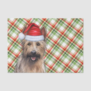 Festive Berger Picard Dog Plaid Christmas Tissue Paper