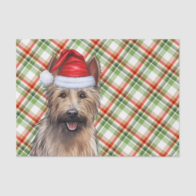 Festive Berger Picard Dog Plaid Christmas Tissue Paper (Front)