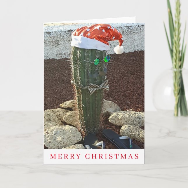 Festive cactus view Christmas card  (Front)