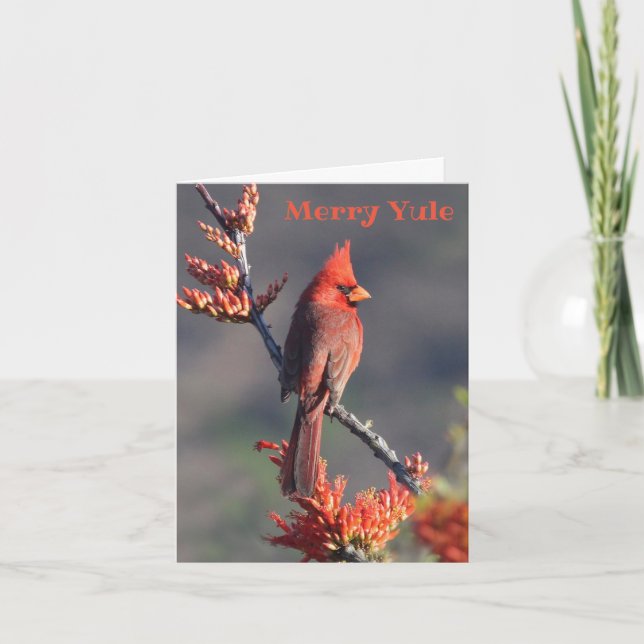 Festive Cardinal - Merry Yule Holiday Card (Front)
