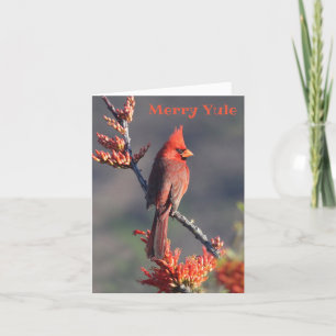 Festive Cardinal - Merry Yule Holiday Card