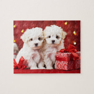 Festive Christmas Puppy Duo Jigsaw Puzzle