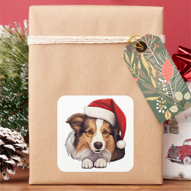 Festive Christmas Shetland Sheepdog  Square Sticker (Holiday)