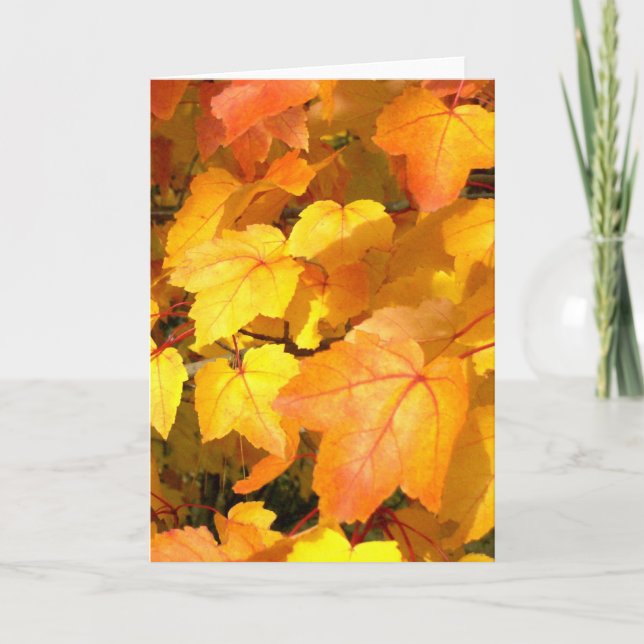 Festive Fall Colours Card (Front)