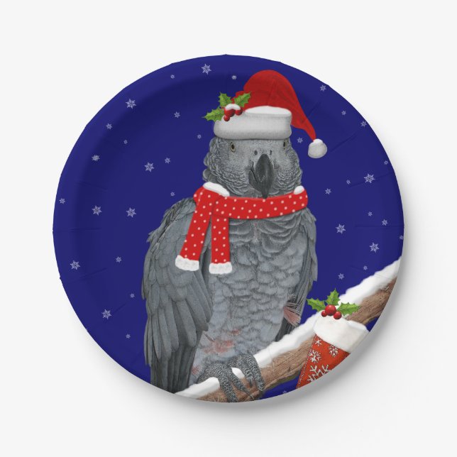 Festive Feathers Paper Plate (Front)