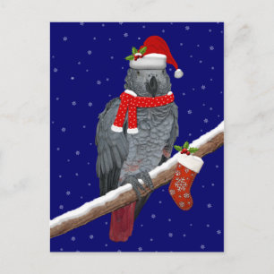 Festive Feathers Postcard