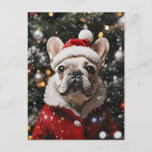 Festive Frenchie: A Holiday Portrait
