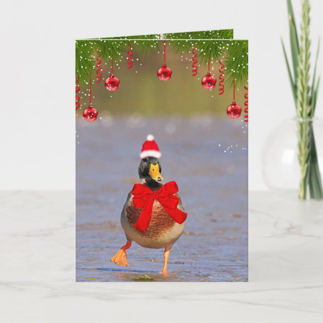 Festive Fun Mallard Duck Christmas Holiday Card (Front)