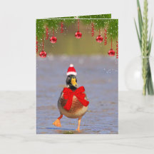 Festive Fun Mallard Duck Christmas