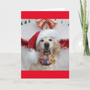 Festive Golden Retriever holding Christmas 'Woof' Holiday Card