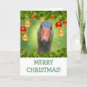 Festive Goose Holiday Christmas Card