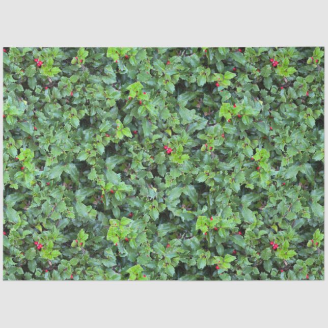 Festive Green Holly Berry Christmas Tissue Paper (Front)