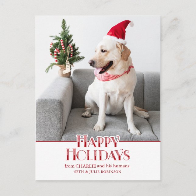 Festive Happy Holidays Typography | Dog Photo Postcard (Front)
