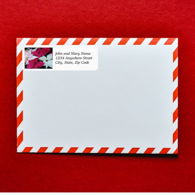 Festive Holiday Poinsettias Floral Return Address (In Situ Envelope)