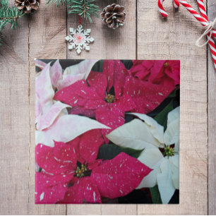 Festive Holiday Poinsettias Floral Tile