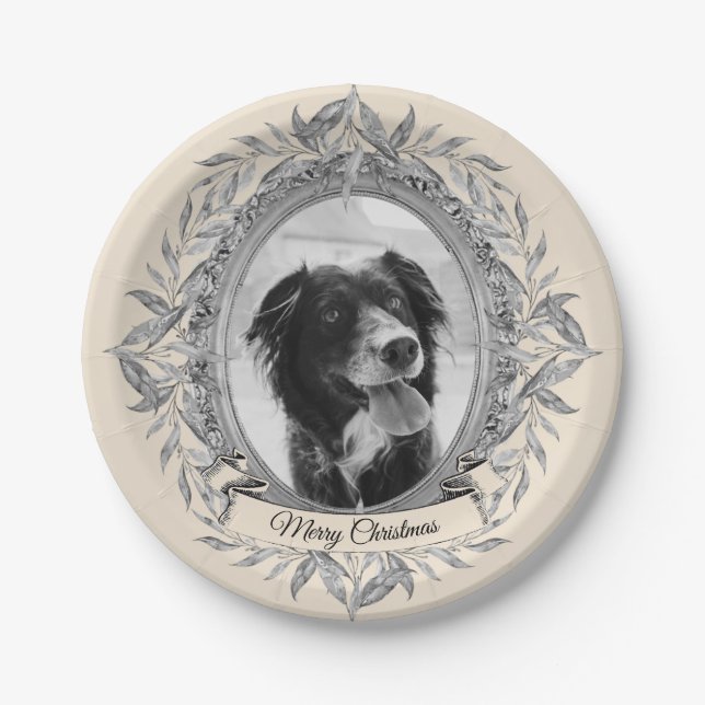 Festive Holiday Silver Frame Photo Paper Plate (Front)