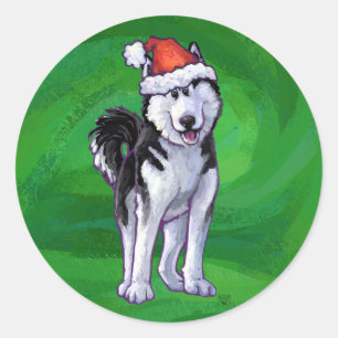 Festive Husky in Santa Hat on Green Classic Round Sticker