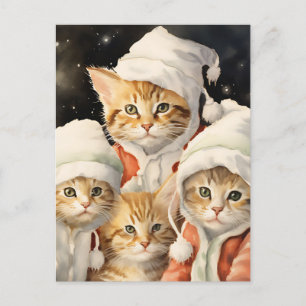 Festive Kitties Postcard