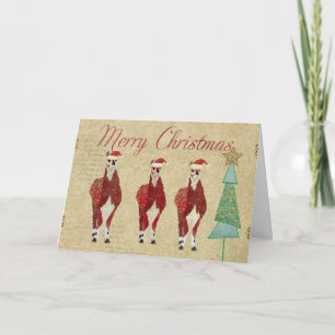 Festive Llamas Merry Christmas Card