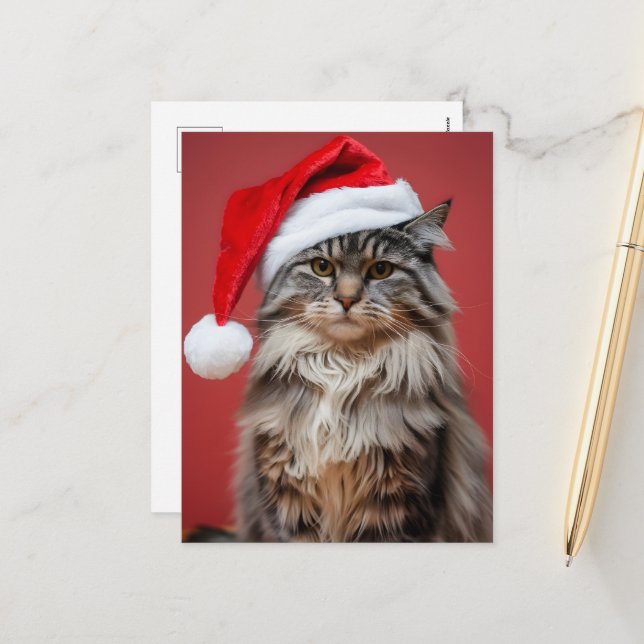 Festive Maine Coon Cat in Santa Hat Christmas Holiday Postcard (Front/Back In Situ)