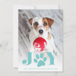 Festive Paws   Pet Photo Holiday Card