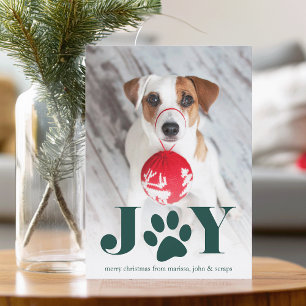 Festive Paws   Pet Photo Holiday Card