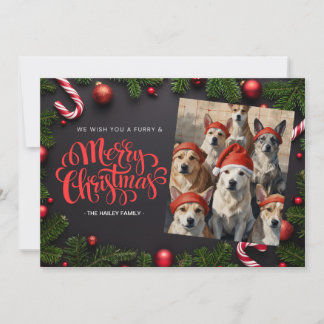 Festive Pet Photo Christmas card