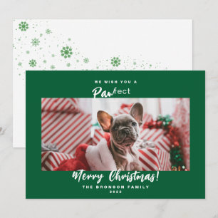 Festive Pet Photo Merry Christmas  Holiday Card