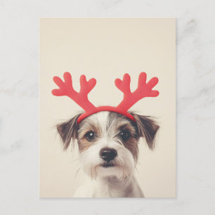 Festive Pup with Reindeer Antlers Postcard