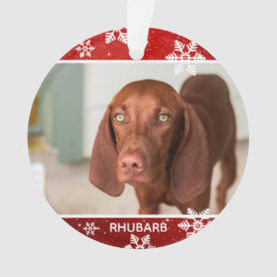 Festive Red 2 Photo Dog Christmas   Pet Ornament
