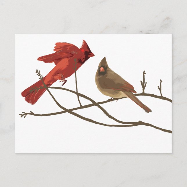 Festive Red Cardinals Postcard (Front)