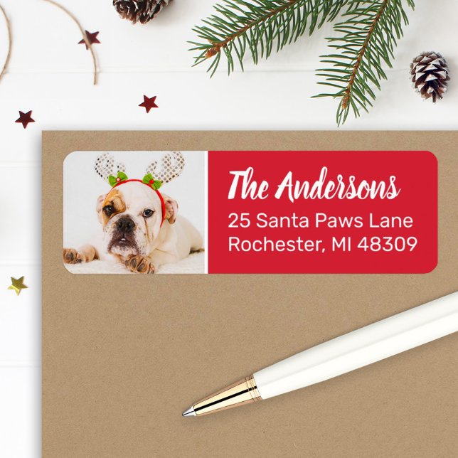 Festive Red Dog Photo Holiday Return Address (Creator Uploaded)