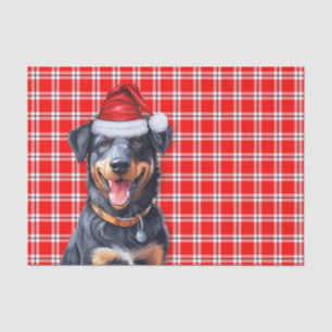 Festive Red Plaid and Beauceron Dog Christmas Tissue Paper