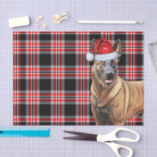 Festive Red Plaid and Belgian Malinois Christmas Tissue Paper