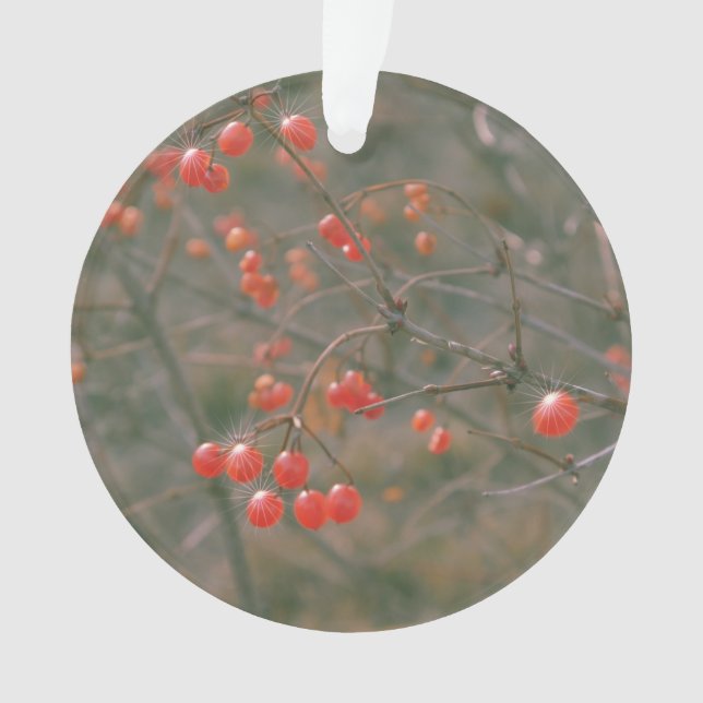 Festive Red Sparkling Berries Nature Photo  Ornament (Front)