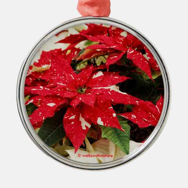 Festive Red White Floral Poinsettias Metal Tree Decoration (Front)