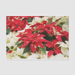 Festive Red White Floral Poinsettias Tissue Paper