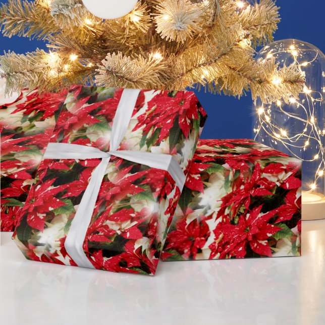 Festive Red White Floral Poinsettias Wrapping Paper (Holidays)